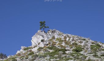 Kingsbury Grade, Gardnerville, NV 89460