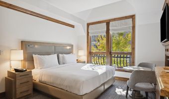 415 E Dean St. # 32 Wk 9, Aspen, CO 81611