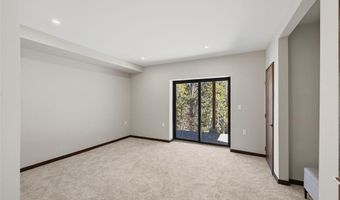 410 N Aspen St, Alma, CO 80420