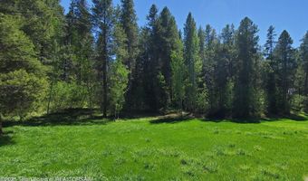 4085 LEIGH Ln, Alta, WY 83414