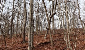 Route 12 Road, Alum Creek, WV 25003