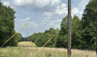 40 Ac +/- Old River Rd, Baker, FL 32531