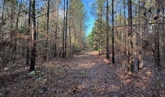 Beck Springs, Ashland, MS 38603