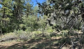 Sandpiper Ln, Beatty, OR 97621