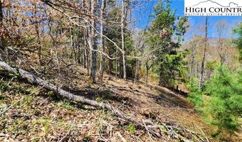 31 32 Running Bear Cir, Banner Elk, NC 28604