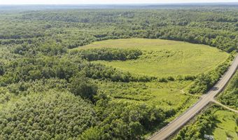 22 Hwy, Adamsville, TN 38310