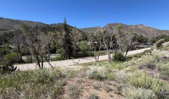 32370 Poudre Canyon Rd, Bellvue, CO 80512