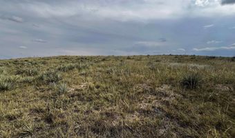 BUGGY RD, Carpenter, WY 82054