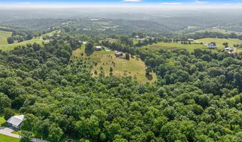 12707 Pleasant Ridge Rd, Alexandria, KY 41001