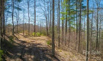 Saylor Lake Road, Bakersville, NC 28705