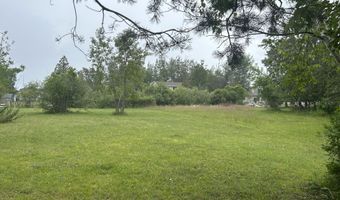 132 Channel Rd, Alpena, MI 49707