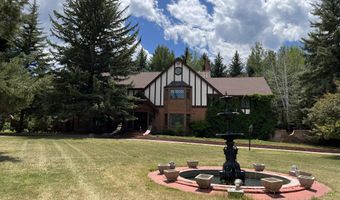 225 S OAK Way, Glenwood Springs, CO 81601