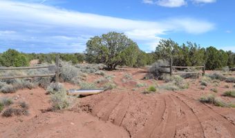32 N8544 398, Concho, AZ 85924