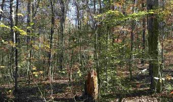 0009 SPRINGHOLLOW Rd Lot 9, Ashville, AL 35953