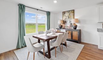 101 Peavine Way Plan: The Darwin, Alabaster, AL 35007