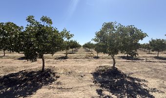 Road 30, Alpaugh, CA 93201