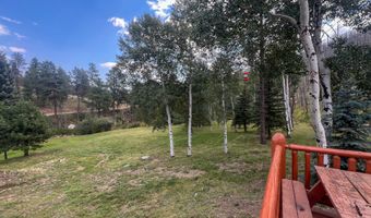 27667 Buckhorn Rd, Bellvue, CO 80512