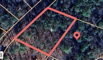 141 144 COUNTY RD 219, Arley, AL 35541