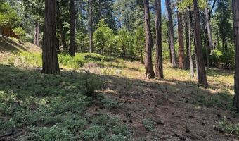 2904 Venado Dr, Arnold, CA 95223