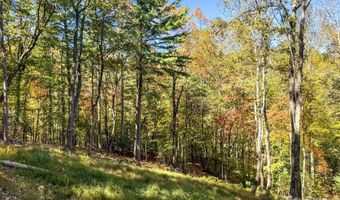 212 Judson Ridge Rd, Arden, NC 28704