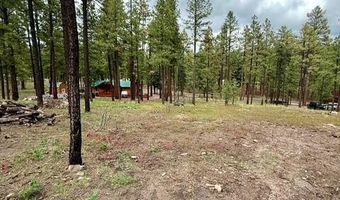 7 Eric Ln, Alpine, AZ 85920