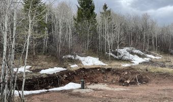 777 RICHARDSON CREEK Rd, Afton, WY 83110