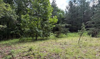 26 33 ACRES HICKORY CORNER Rd, Augusta, WV 26704