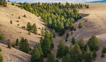 NHN Homestead Creek Drive, Anaconda, MT 59711
