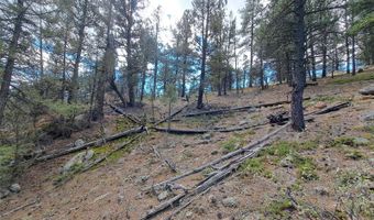 1077 Roland Dr, Bailey, CO 80421