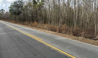 5510 Mauss Hill Rd, Adams Run, SC 29426