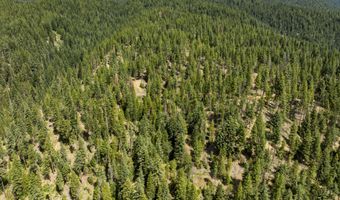 Hungry Ridge, Ashland, OR 97520