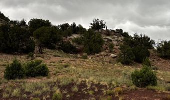 312 CR 8280, Concho, AZ 85924