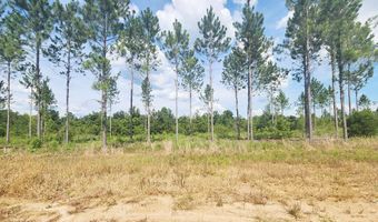 902 Lockett Station Rd, Albany, GA 31707