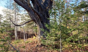 W McMann & Meadow Roads lot 13-1, Addison, ME 04606