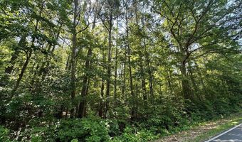George Green Rd, Tallapoosa, GA 30176