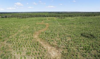 NW Cr-73a, Altha, FL 32421