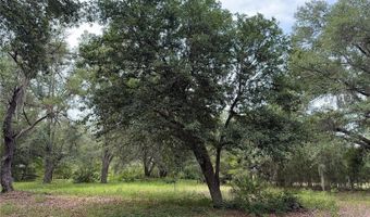 Tbd NW 67TH BOULEVARD, Alachua, FL 32615