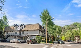901 E Hyman Ave 14, Aspen, CO 81611