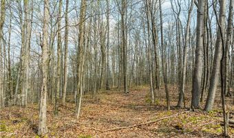 E Captina Highway Road, Alledonia, OH 43902