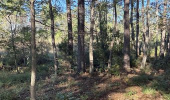 338 Southern Way Lot 61 W/ Boat Slip #3, Arapahoe, NC 28510