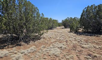 Tbd N8060, Concho, AZ 85924