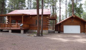 30 County Road 2066, Alpine, AZ 85920