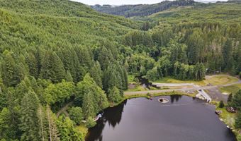 10251 Ridgview Ter, Birkenfeld, OR 97016