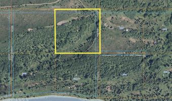 L2 Purinton Creek Trail, Chickaloon, AK 99674