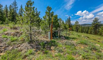 TBD Tamarack View Drive, New Meadows, ID 83654