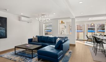 447 E Cooper Ave 1, Aspen, CO 81611