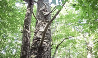 225 Waldo Ave, Belfast, ME 04915