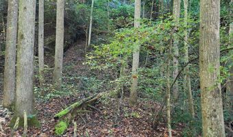Lords Way, Andrews, NC 28901