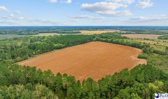 TBD Beverly Creek Rd, Bennettsville, SC 29512