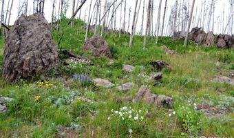 2025 Granite Rd, Bellvue, CO 80512
